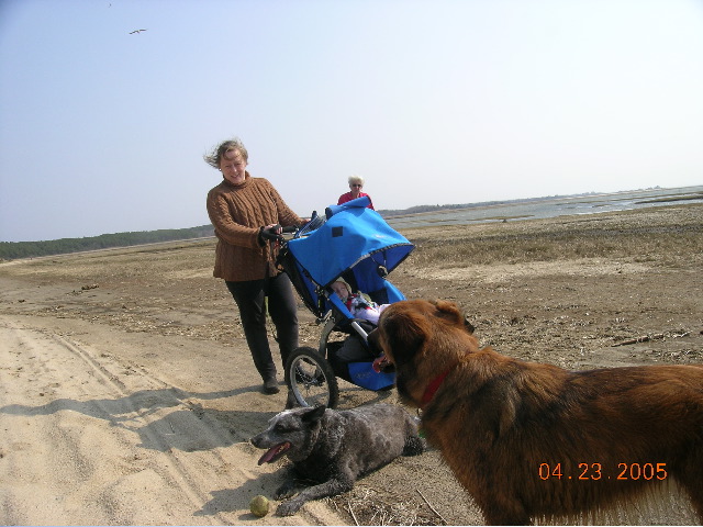 DSCN9338.JPG