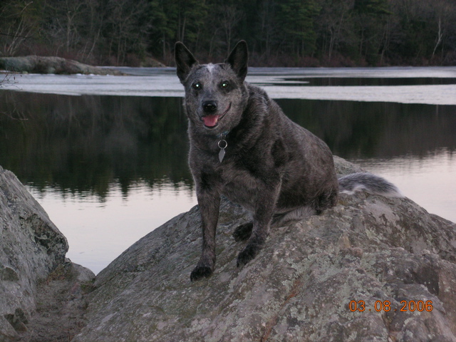 DSCN1008.JPG