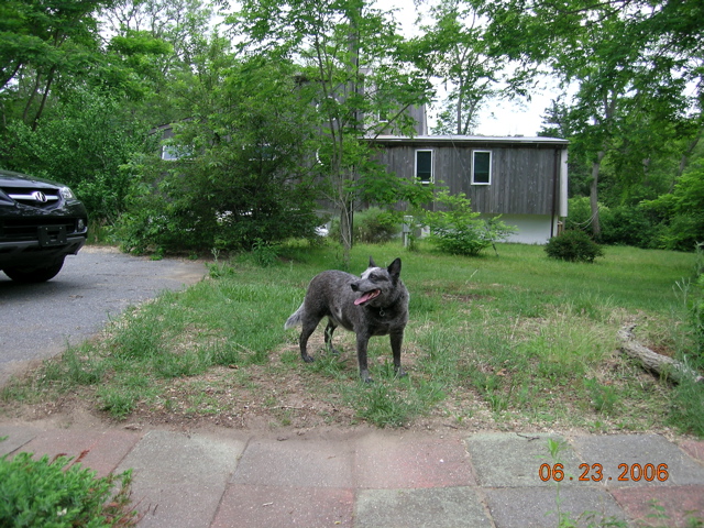 DSCN1347.JPG