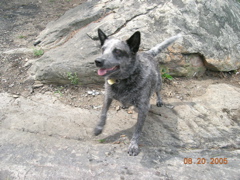 DSCN0817.JPG