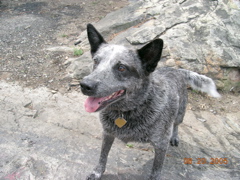 DSCN0820.JPG
