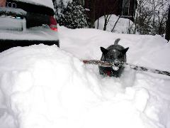 DSCN0997.JPG