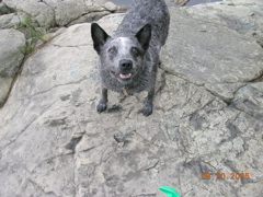 DSCN0818.JPG