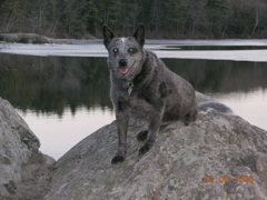 DSCN1008.JPG