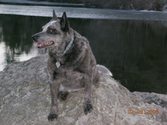 DSCN1010.JPG