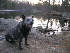 DSCN1012.JPG