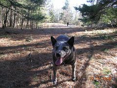 DSCN0824.JPG
