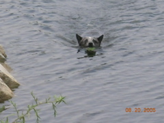 DSCN0986.JPG